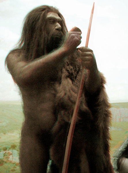 http://bhowc.files.wordpress.com/2006/03/444px-Neanderthal_2D.jpg